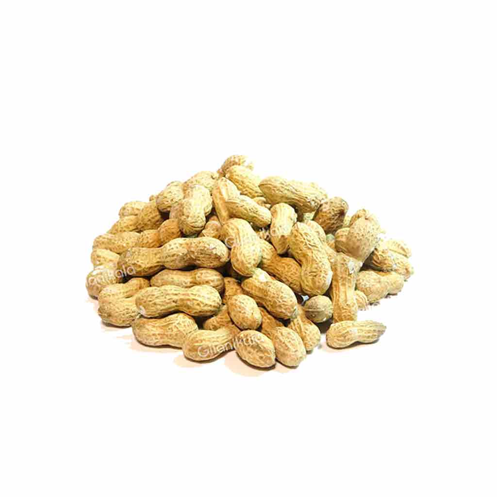 بادام زمینی با پوست آستانه